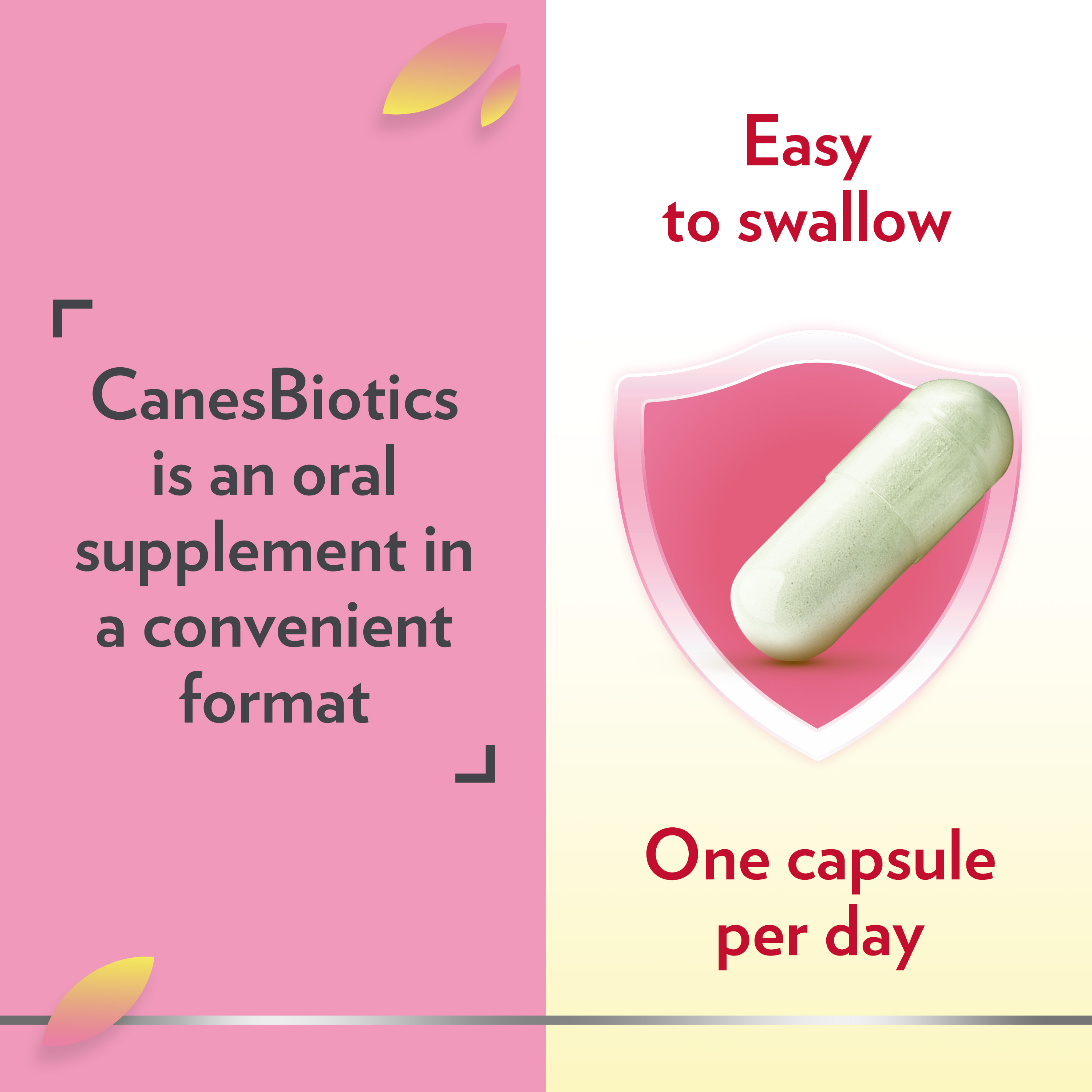 Canesbiotics Advert